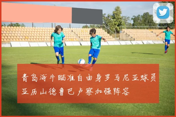 青岛海牛瞄准自由身罗马尼亚球员亚历山德鲁巴卢察加强阵容