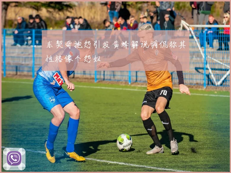 东契奇抱怨引发黄蜂解说调侃称其性格像个怨妇